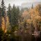 Willamette River