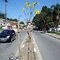 Pequena mas produtiva / Small but prolific (11/2010)