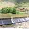 Rio Piabanha - barragem
