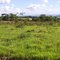 Vista do Vales e Montanhas na Rodovia Altino Arantes - SP-351, sentido Altonópolis