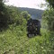 EFPP - Locomotiva Decauville