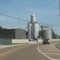 Noell Grain