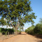 Simetria (estrada Coroados-Glicério)