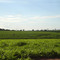 Araçatuba: City View from this point / Cidade vista deste ponto