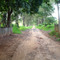 Cycle Route - Roteiro Ciclistico Guatambu Town
