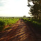  Araçatuba: Backroad - Vicinal