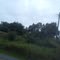 Piedade