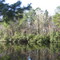 BLUFFTON, SOUTH CAROLINA, USA