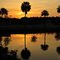 Beautiful Sunset with Reflection - Night Heron Villas (Hilton Head Island, SC)