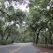 Lighthouse road