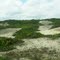 dunas