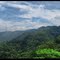 Serra do Mar - São B. do Campo - SP - BRASIL.