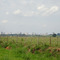 Araçatuba-SP vista da SP 463