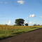 Estrada Municipal da Água Limpa