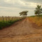 Araçatuba: Cycle Route - Roteiro Ciclistico