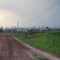Araçatuba: Backroad View - Vista de uma vicinal
