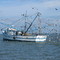 Shrimp Boat near Hilton Head Island