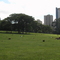 Tranquilidade no Cemitério do Morumbi- São Paulo - Brasil