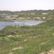 Uma das muitas lagoas do Parque de Jurubatiba, Carapebus/RJ. (Lagoa do Paulista).