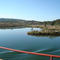 Floresta da Fazenda Santa Lucia