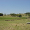 Morungaba