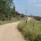 Morungaba