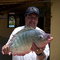 Pesqueiro Fontana - Cotia SP - Roberto c/ Tilápia de 4Kgs - www.pescaesportiva.org