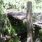 Velha Ponte sob o Cacau-cabruca