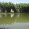 Pesqueiro Lago Azul