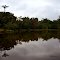 reflexo