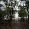 Rancho Recanto do Bem-Te-Vi