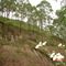 Montanhão 24/fev/2008