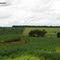 Paisagem rural