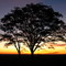 Pôr do Sol 2
