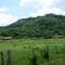 Antiga colonia de fazenda, vicinal de Nova Colombia