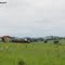 Paisagem rural