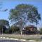 Av. Salles Gomes - Foto: Fábio Barros  (www.cidade3d.uniblog.com.br)
