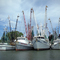 Shrimp Boats on Jeremy Creek in McClellanville, S.C.