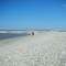 Shelling in McClellanville