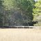 Bridge along the Awendaw Creek
