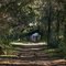 A old planation road (Walnut Grove)