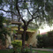 Jardim de casa