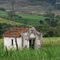 Abandono