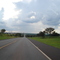 Rodovia Pedro Monteleone Paraiso / Palmares Paulista-SP - Sentido Norte