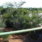 Ribeirão Santa Rita Cheio -  Divisa Ouroeste S.P / Populina S.P