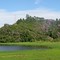 Reservatório (Billings) e vegetação (com manacás floridos), Rio Grande da Serra, SP, Brasil.