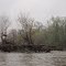 Century Old Cotton Barge Still Stranded in the River