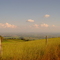 PANORAMA..