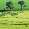 Verde - Charqueada, SP, Brasil.