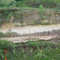 Afloramento com três eras geológicas - Rio Claro - SP (01/2005)